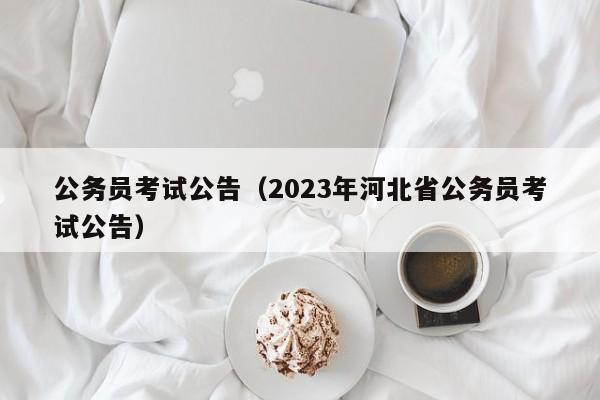 公务员考试公告（2023年河北省公务员考试公告）